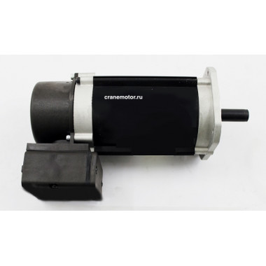 Двигатель MF06MA200-131F85009E-IP55 [0.3кВт]