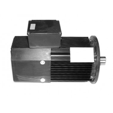 Двигатель MF11L-103A157034062T-IP55 [4/1.2кВт]
